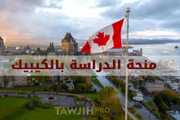 منحة الدراسة بالكيبيك 2025 للتلاميذ والطلبة المغاربة